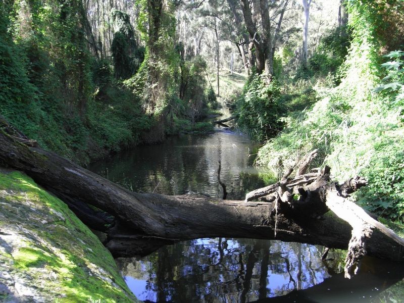 North Rothbury NSW 2335