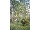 Wollombi NSW 2325