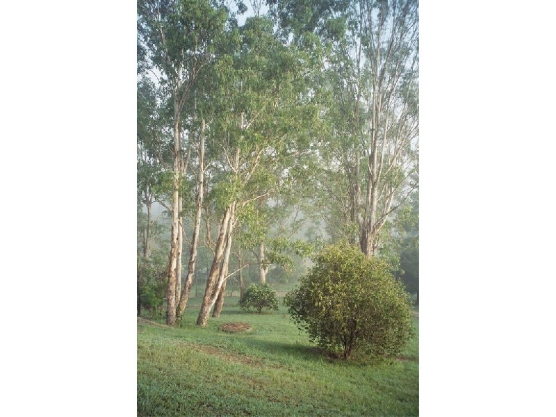 Wollombi NSW 2325
