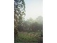 Wollombi NSW 2325