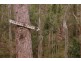 1329 Mount View Road, Mount View NSW 2325