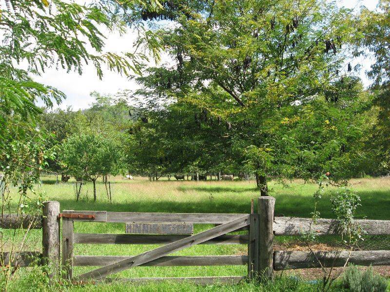 Paynes Crossing NSW 2325