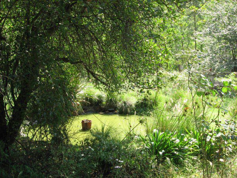 Paynes Crossing NSW 2325