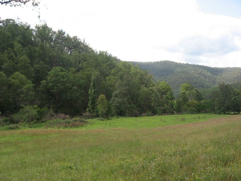 Paynes Crossing NSW 2325