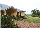 141 Camp Road, Lovedale NSW 2325