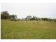 141 Camp Road, Lovedale NSW 2325