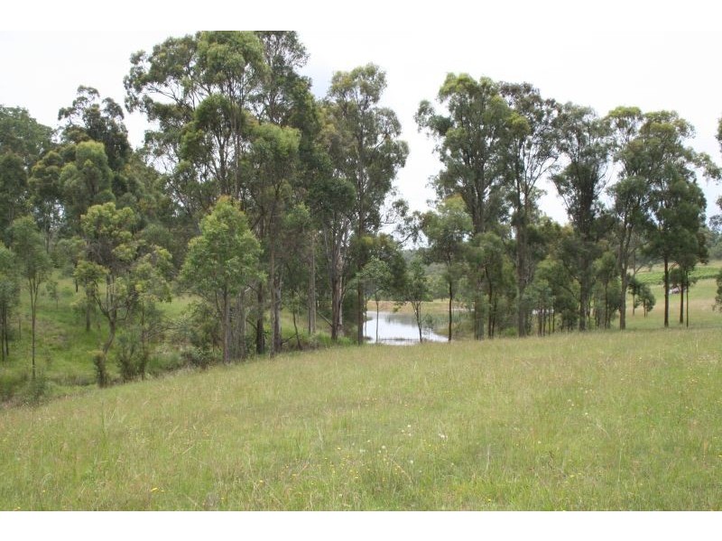 141 Camp Road, Lovedale NSW 2325
