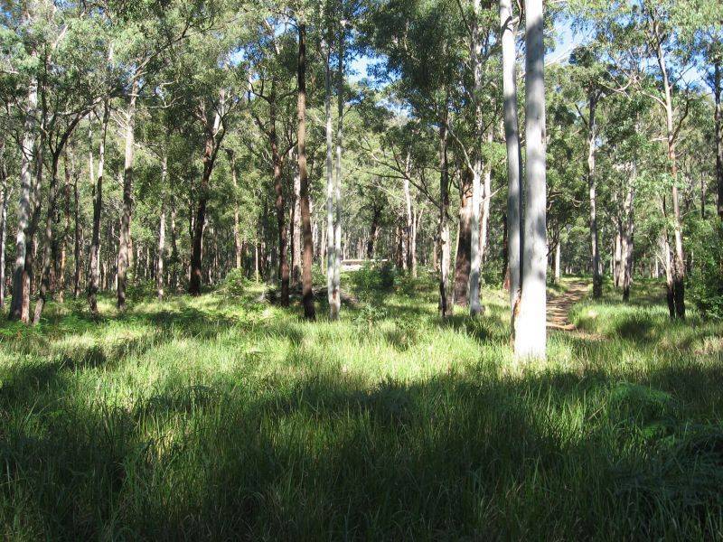 Quorrobolong NSW 2325