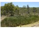 Lot 12 off Mount Eyre Estate, Broke Road, Broke NSW 2330