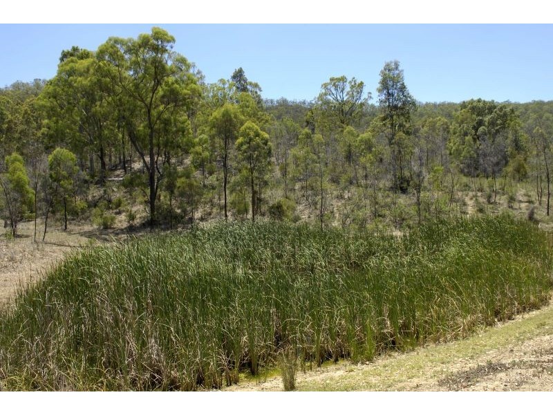 Lot 12 off Mount Eyre Estate, Broke Road, Broke NSW 2330
