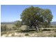 Lot 12 off Mount Eyre Estate, Broke Road, Broke NSW 2330
