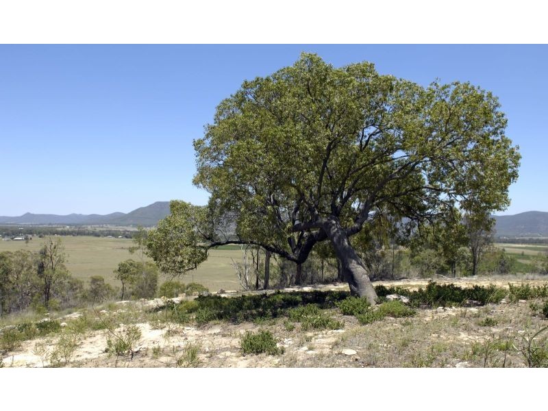 Lot 12 off Mount Eyre Estate, Broke Road, Broke NSW 2330