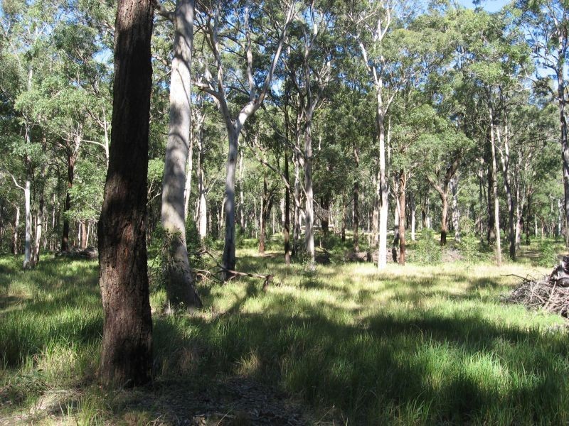 Quorrobolong NSW 2325