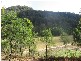 Laguna NSW 2325