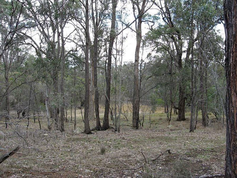 North Rothbury NSW 2335