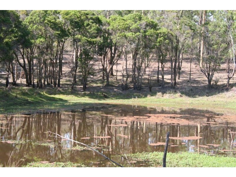 North Rothbury NSW 2335