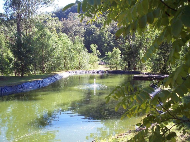 519 Off Yango Creek Road, Laguna NSW 2325