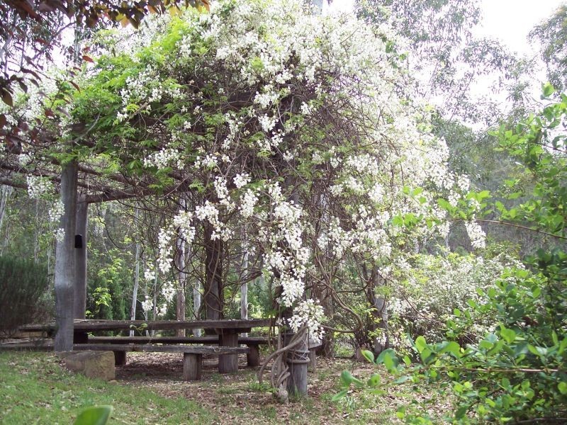 519 Off Yango Creek Road, Laguna NSW 2325