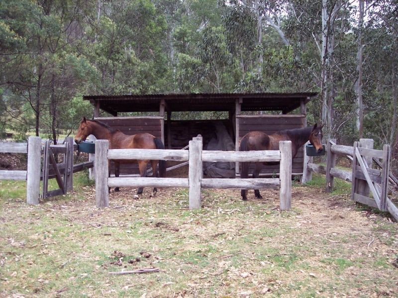 519 Off Yango Creek Road, Laguna NSW 2325