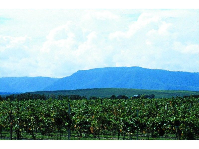 1596  Broke Road, Pokolbin NSW 2320