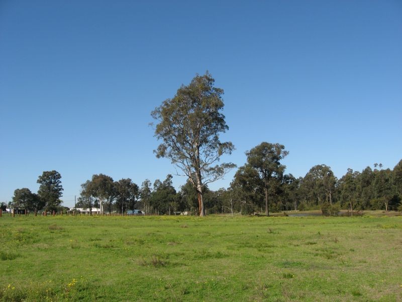 Sawyers Gully NSW 2326
