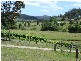 Laguna NSW 2325