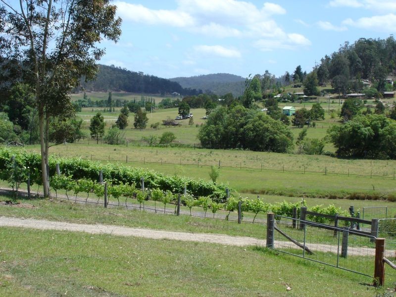 Laguna NSW 2325