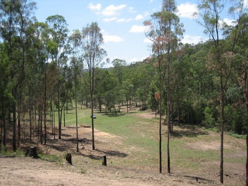 Laguna NSW 2325