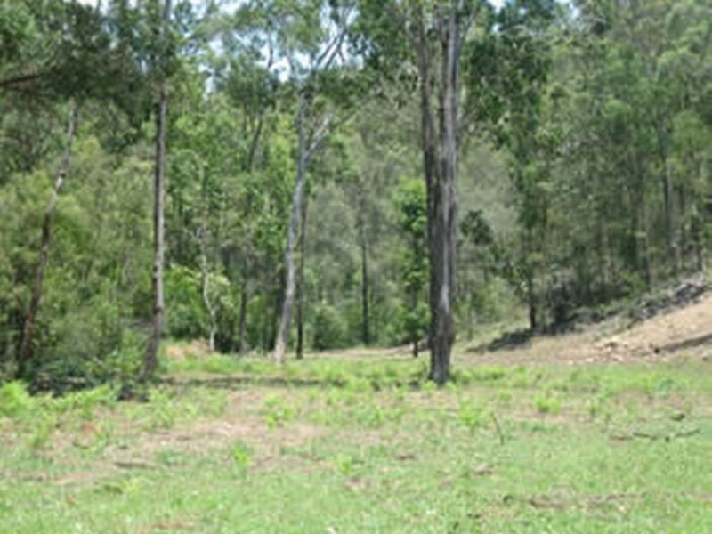 Laguna NSW 2325