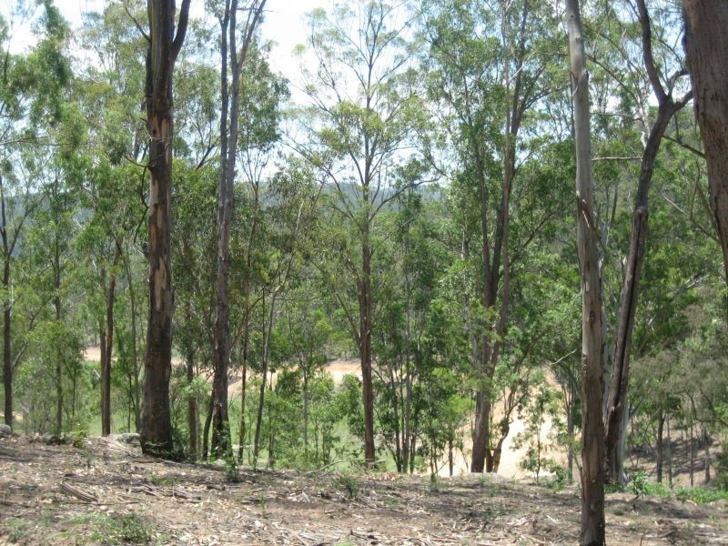 Laguna NSW 2325