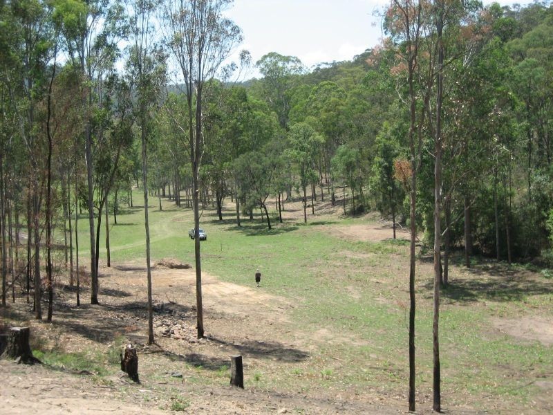 Laguna NSW 2325