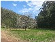 Wollombi NSW 2325