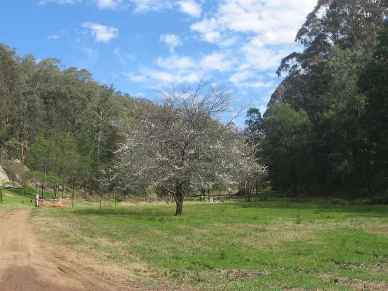 Wollombi NSW 2325