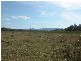Pokolbin NSW 2320