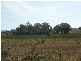 Pokolbin NSW 2320