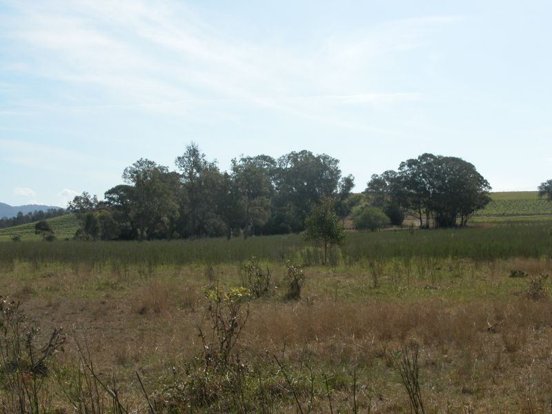 Pokolbin NSW 2320