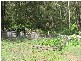 Black Hill NSW 2322
