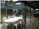 Lower Belford NSW 2335