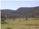 Laguna NSW 2325