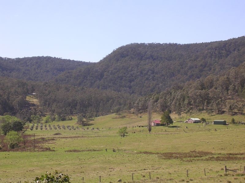Laguna NSW 2325