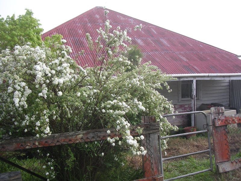 Laguna NSW 2325