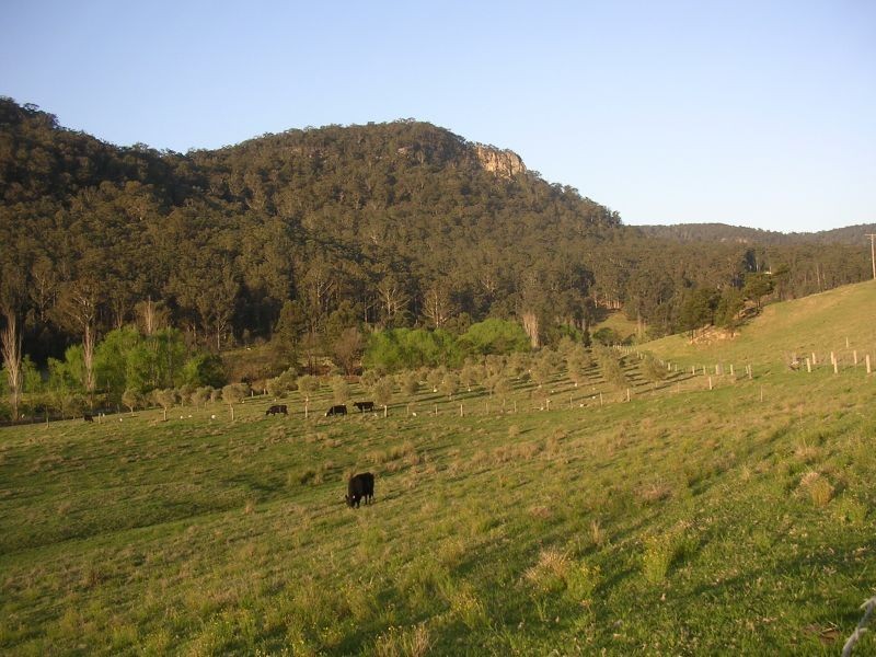 Laguna NSW 2325