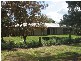 Broke NSW 2330