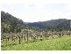Paynes Crossing NSW 2325
