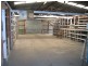 Weston NSW 2326