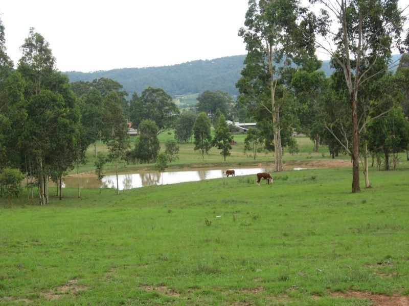 54 Hayes Road, Millfield NSW 2325