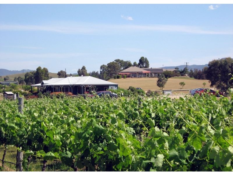 639 McDonalds Road, Pokolbin NSW 2320