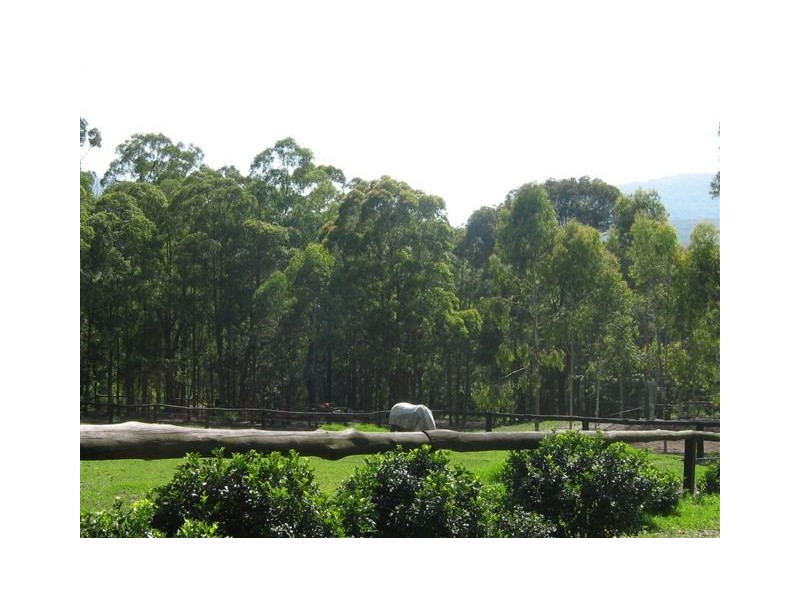 Mount Vincent NSW 2323