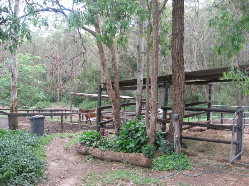 Mount Vincent NSW 2323