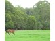 Mount Vincent NSW 2323